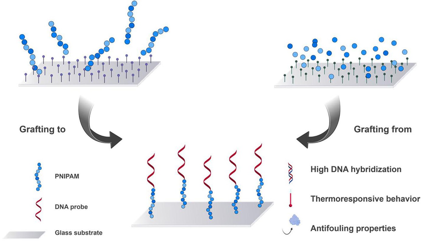 TOC Polymers 2024, 16, 2873 © 2024 EPFL