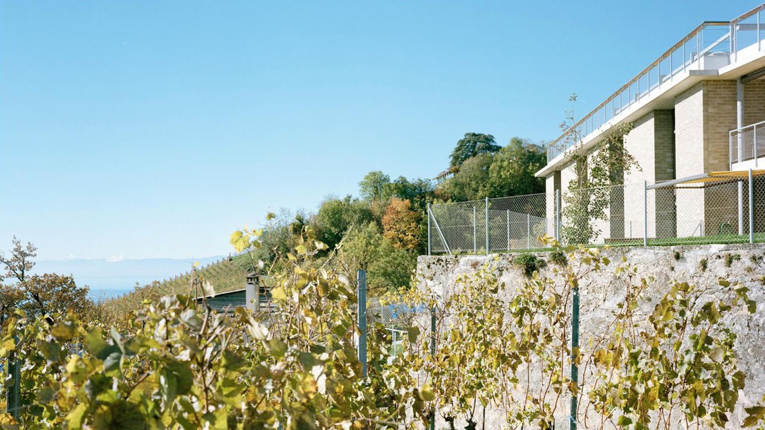 EMS La Colline, Chexbres / LVPH architectes © Joël Tettamanti