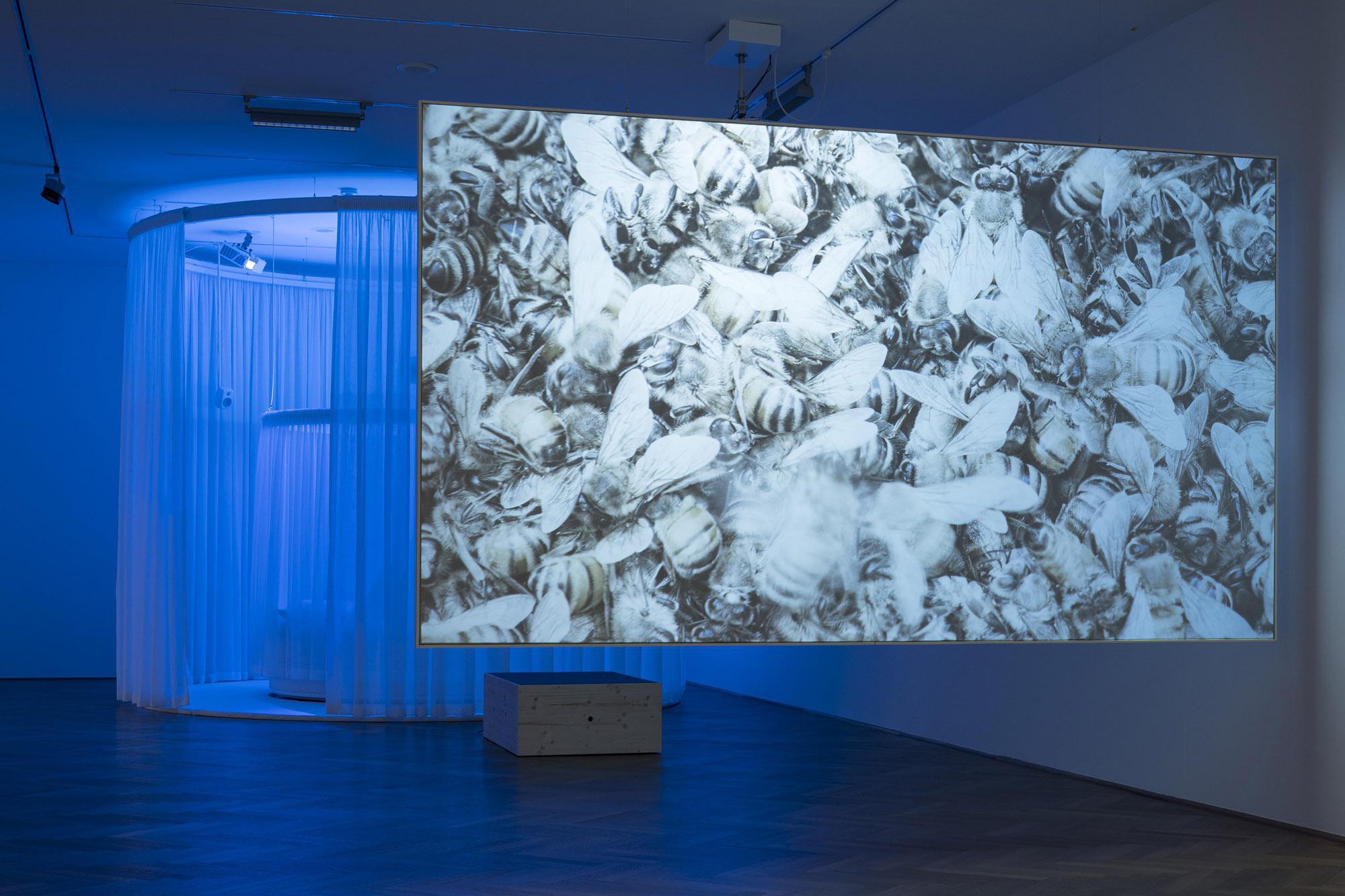 Opening of Lighten Up! In the Rhythm of Day and Night, on 21.11.2024. Photos: Michael Lio