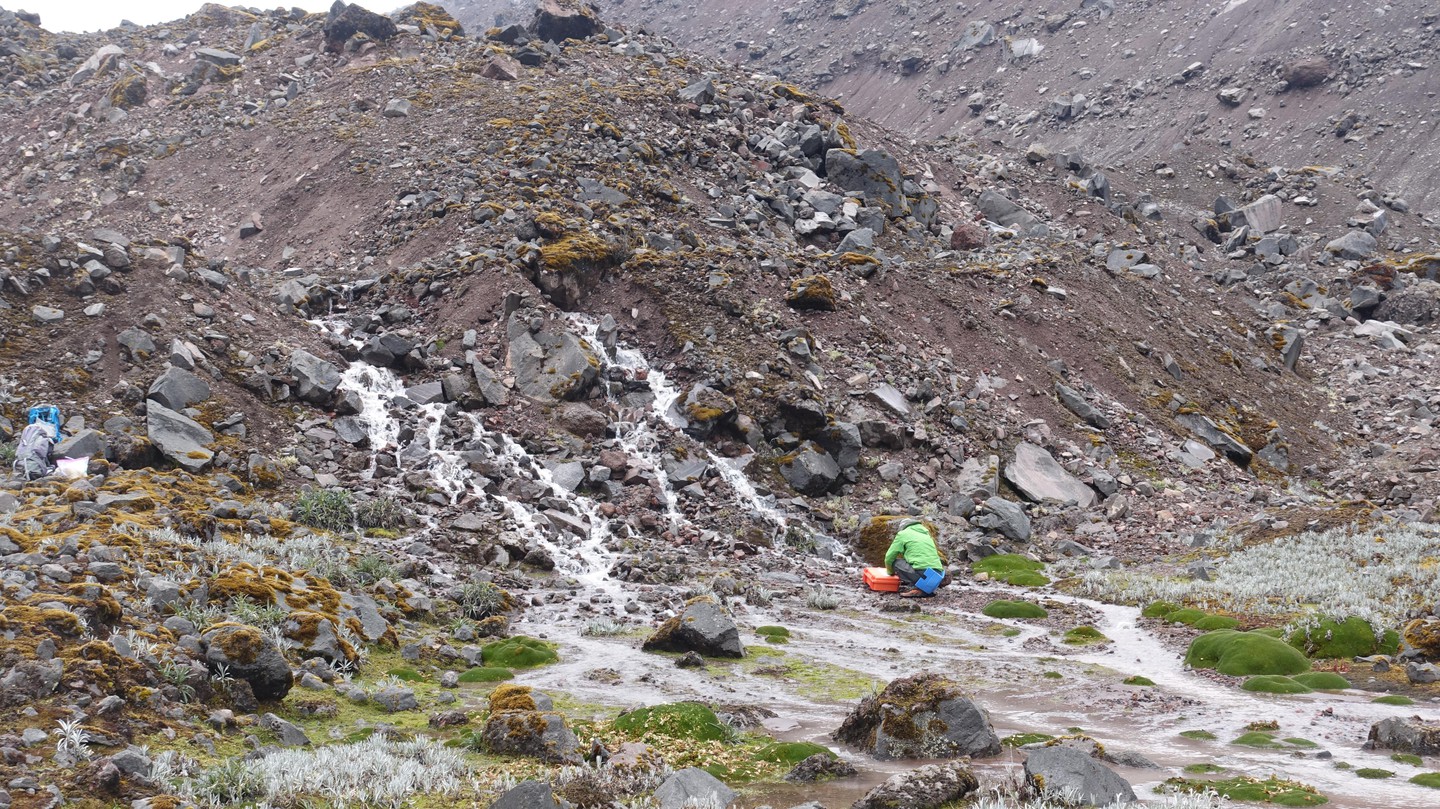 Photo prise en Equateur le 27 février 2020, lors de l'échantillonnage d'une rivière. © NOMIS Field Team