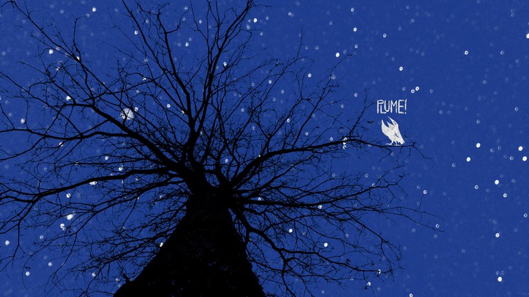 Arbre et nuit étoilée, avec logo Plume