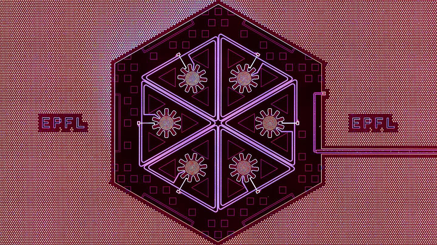 Hexamère d’oscillateurs mécaniques macroscopiques pour l’étude des phénomènes collectifs quantiques. Crédit: Mahdi Chegnizadeh (EPFL)