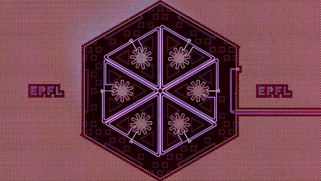 A hexamer of macroscopic mechanical oscillators for studying quantum collective phenomena. Credit: Mahdi Chegnizadeh (EPFL) A hexamer of macroscopic mechanical oscillators for studying quantum collective phenomena. Credit: Mahdi Chegnizadeh (EPFL)