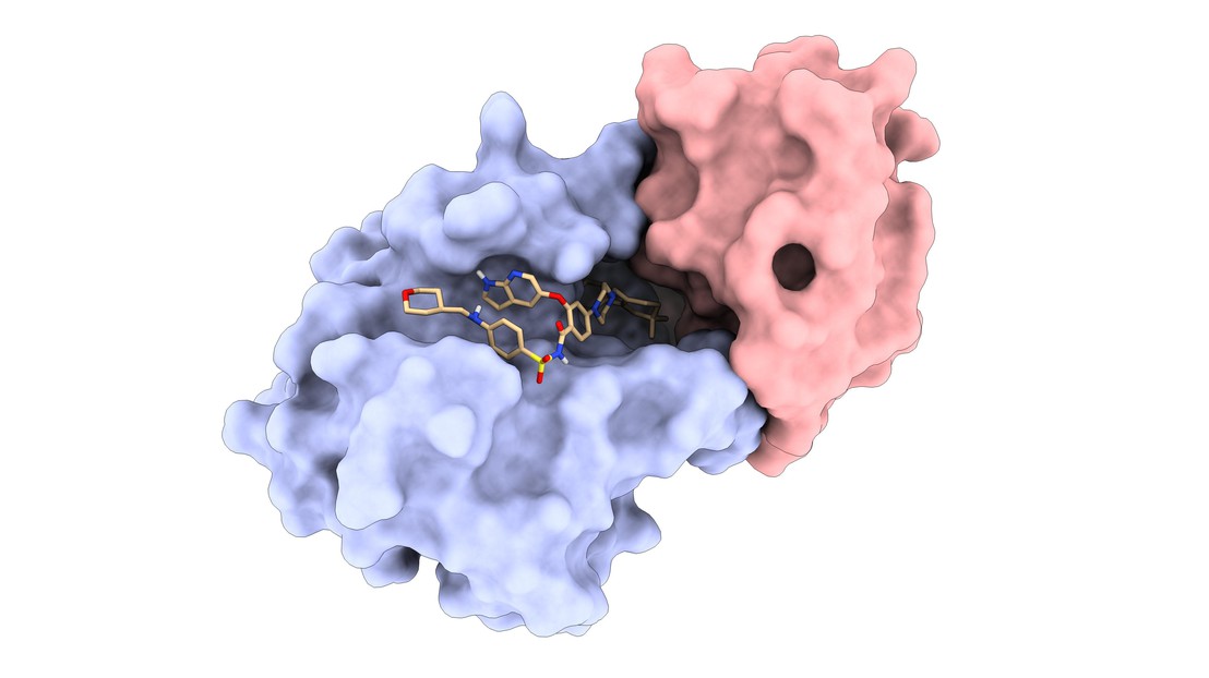 Une des protéines conçues de novo du LPDI (rouge) lié à la protéine Bcl2 (bleu) dans un complexe avec le médicament approuvé par la FDA Vénétoclax (beige) © LPDI EPFL