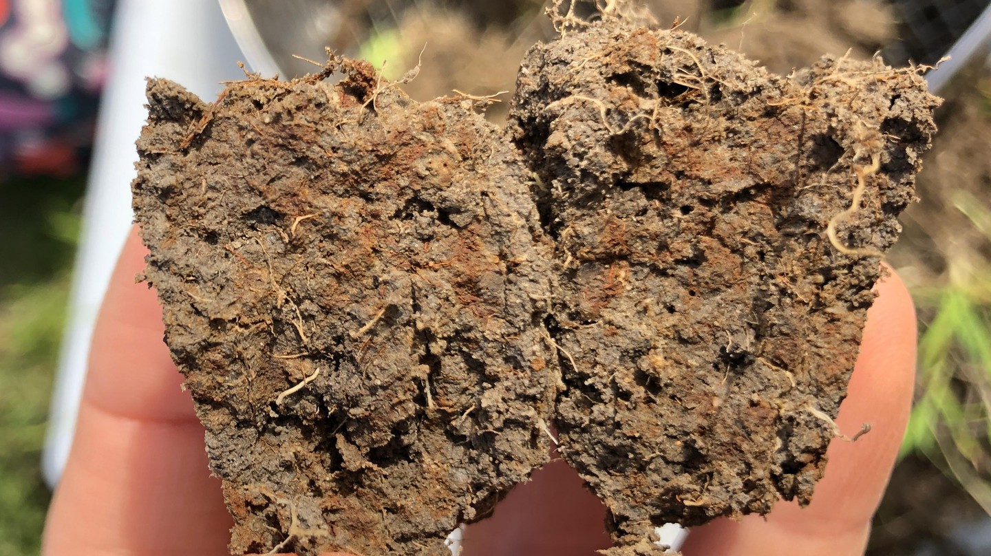 Photo of a soil aggregate with heterogeneous distribution of redox conditions © 2022 M. Aeppli