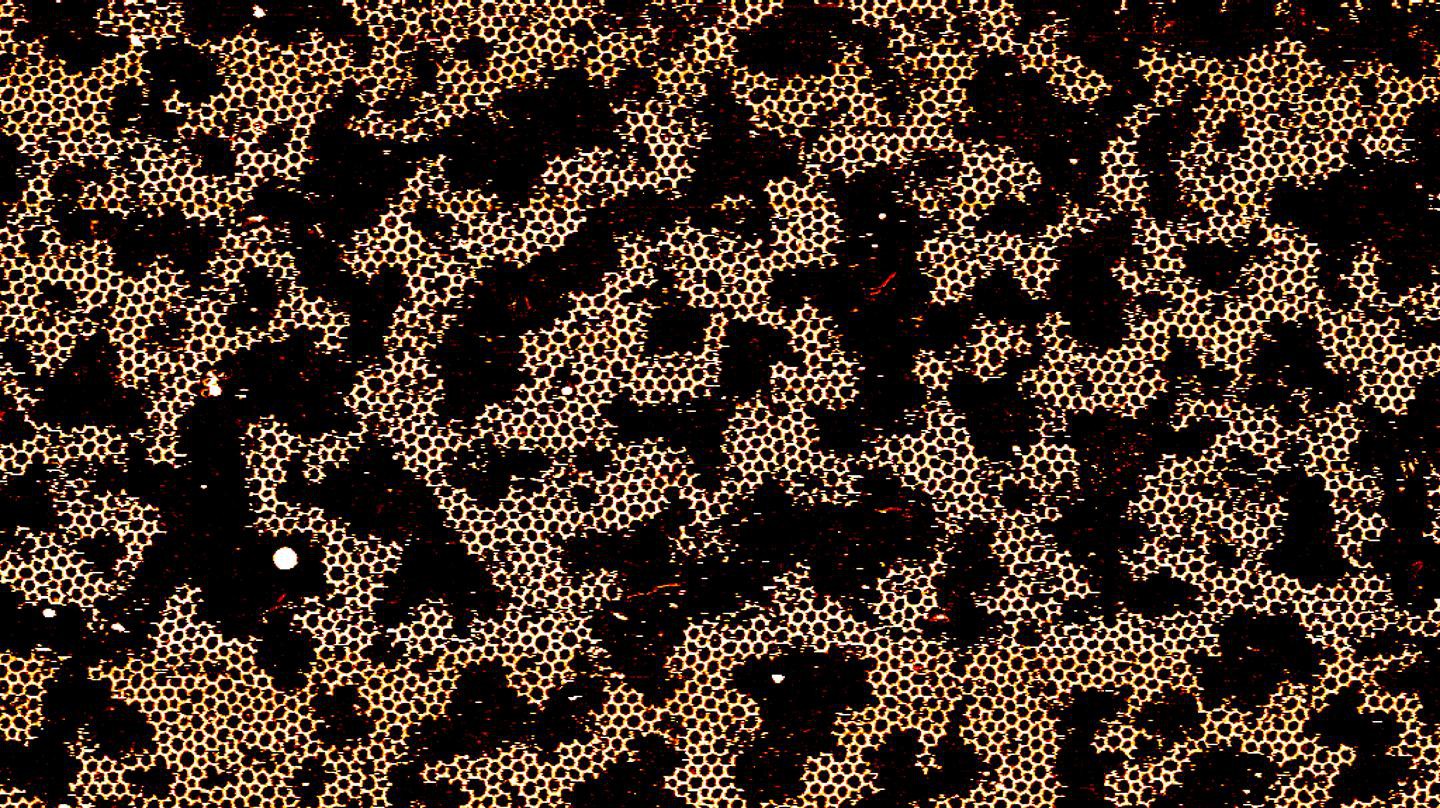 Image d'un réseau hexagonal d'ADN obtenue par microscopie à force atomique © PBL EPFL