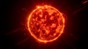 © Alice Bucknell, Staring at the Sun, 2024