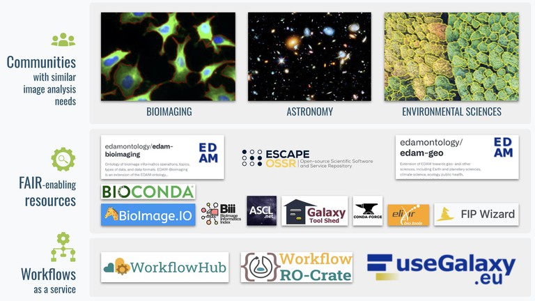© Euro-BioImaging