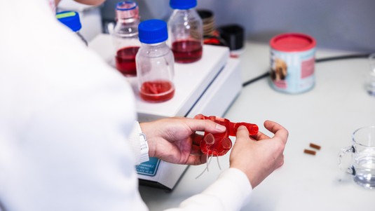 Ours robotisés en gomme entièrement comestibles - 2025 EPFL/Jamani Caillet - CC-BY-SA 4.0