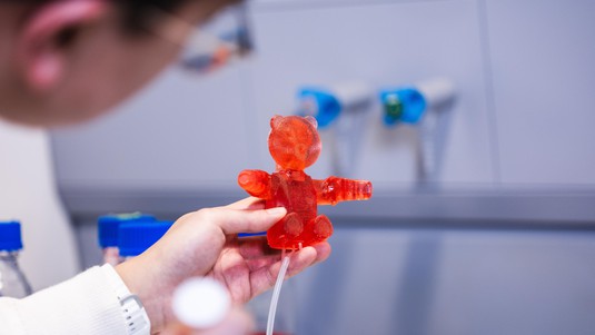Ours robotisés en gomme entièrement comestibles - 2025 EPFL/Jamani Caillet - CC-BY-SA 4.0