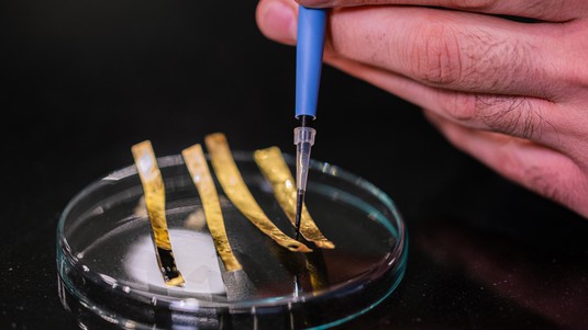 Edible battery components - 2025 EPFL/Jamani Caillet - CC-BY-SA 4.0