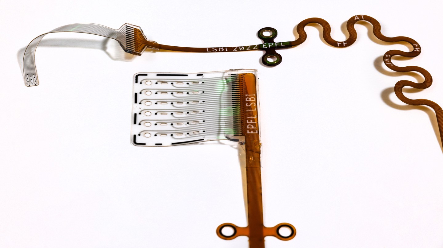 L’implant auditif du tronc cérébral (ABI) souple développé à l’EPFL épouse délicatement les tissus cérébraux, pour une stimulation plus précise et mieux tolérée © 2025 EPFL/Alain Herzog - CC-BY-SA 4.0
