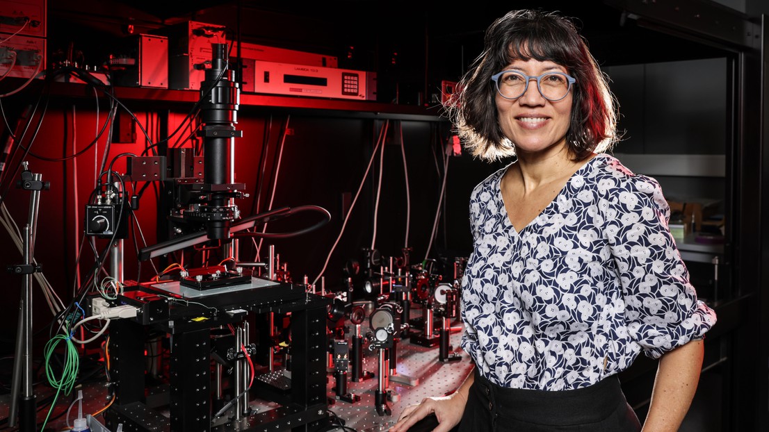 Suliana Manley in the lab with her super-resolution and smart microscopes. © 2025 EPFL / Alain Herzog Suliana Manley in the lab with her super-resolution and smart microscopes. © 2025 EPFL / Alain Herzog