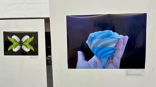 Art expo, RoboSoft 2025 © 2025 EPFL