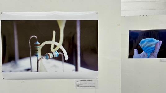 Art expo, RoboSoft 2025 © 2025 EPFL