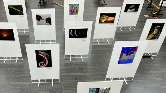 Art expo, RoboSoft 2025 © 2025 EPFL