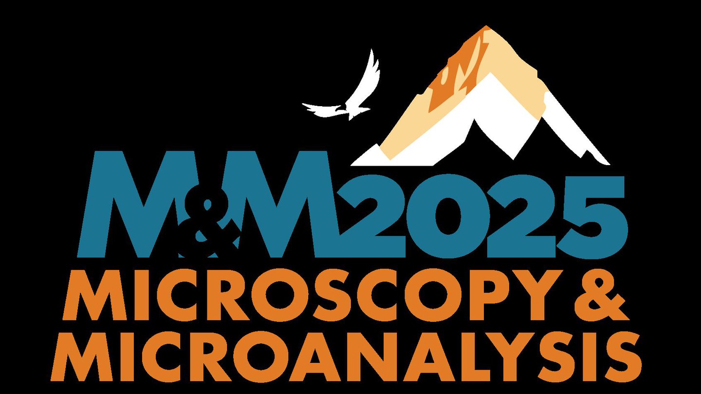© 2025 MSA