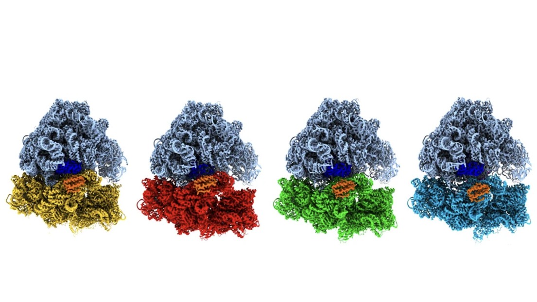 © 2025 EPFL © 2025 EPFL