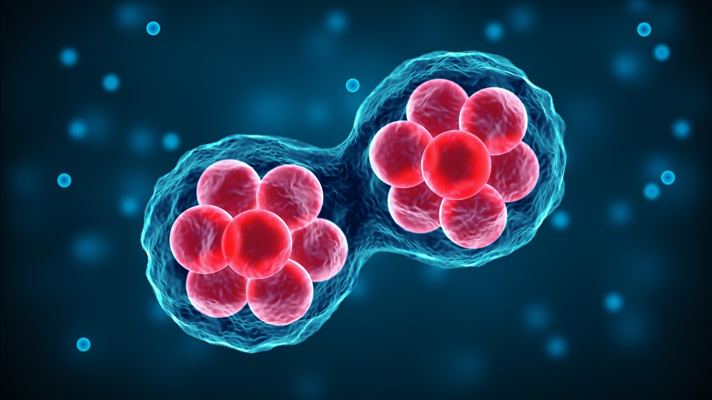 © EPFL/iStock (JuSun)