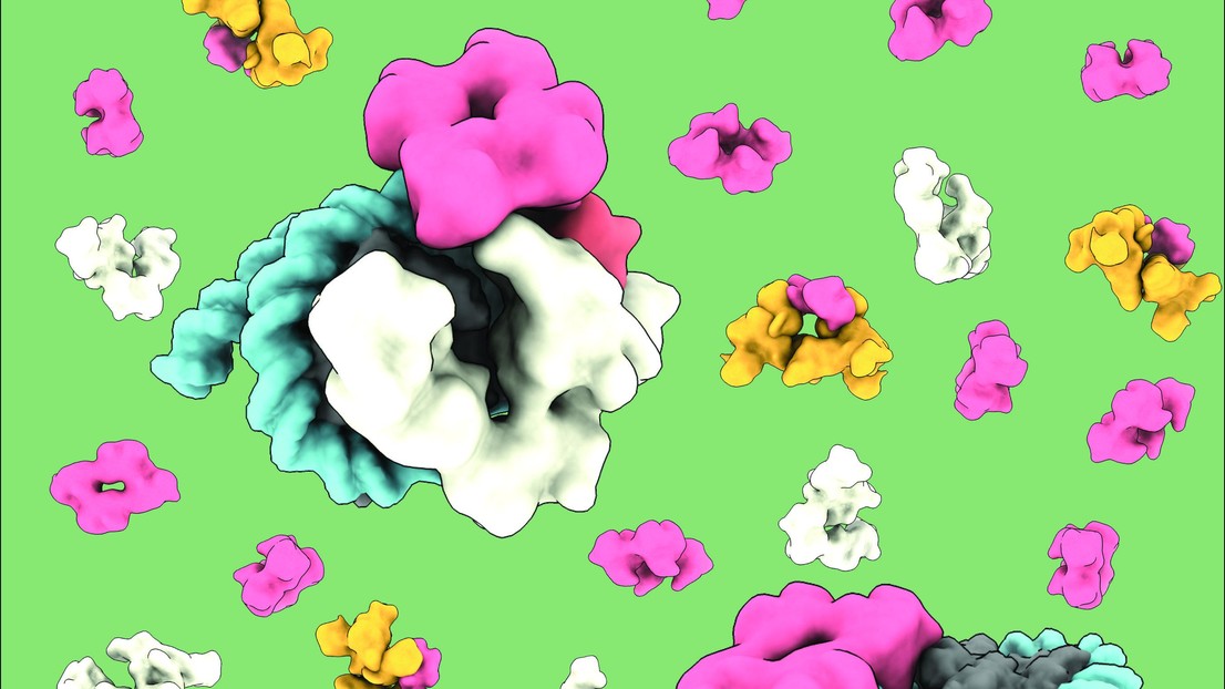 Cover art showing the nucleosome being bound by various cofactors and p53. Credit: Colby R. Sandate (EPFL) Cover art showing the nucleosome being bound by various cofactors and p53. Credit: Colby R. Sandate (EPFL)