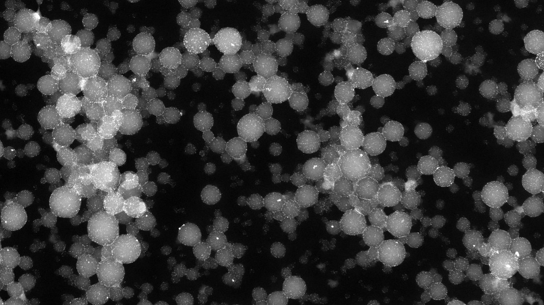 © 2025 EPFL/A.E.Bouchez