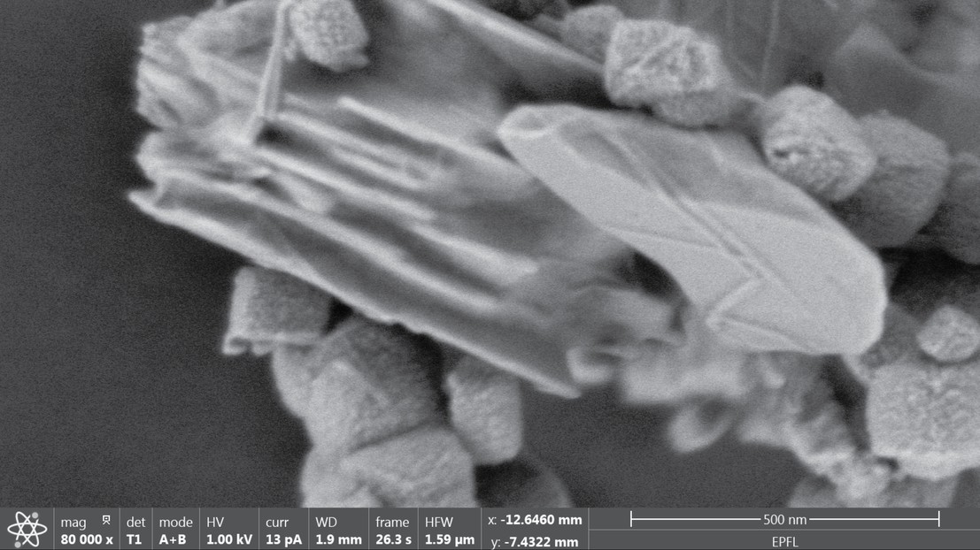 Electron microscopy image of hausmannite, one of the manganese oxide phases that Xinru used © X. Liu 2025