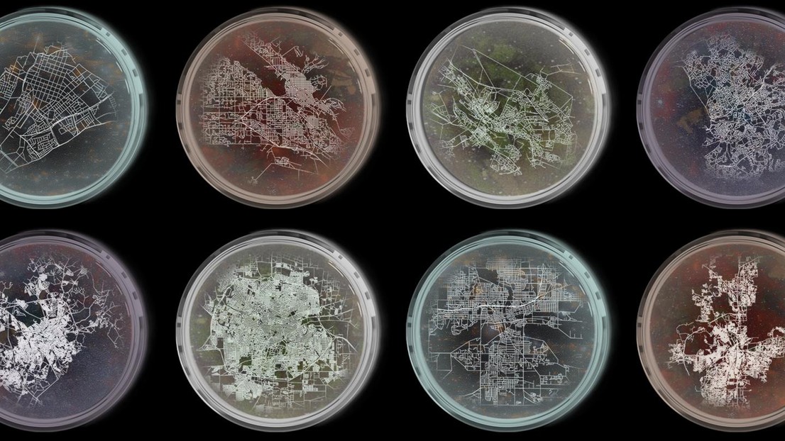 La ville comme organisme vivant, une illustration d'Alicia Crespo Montañes, EPFL URBES, 2025