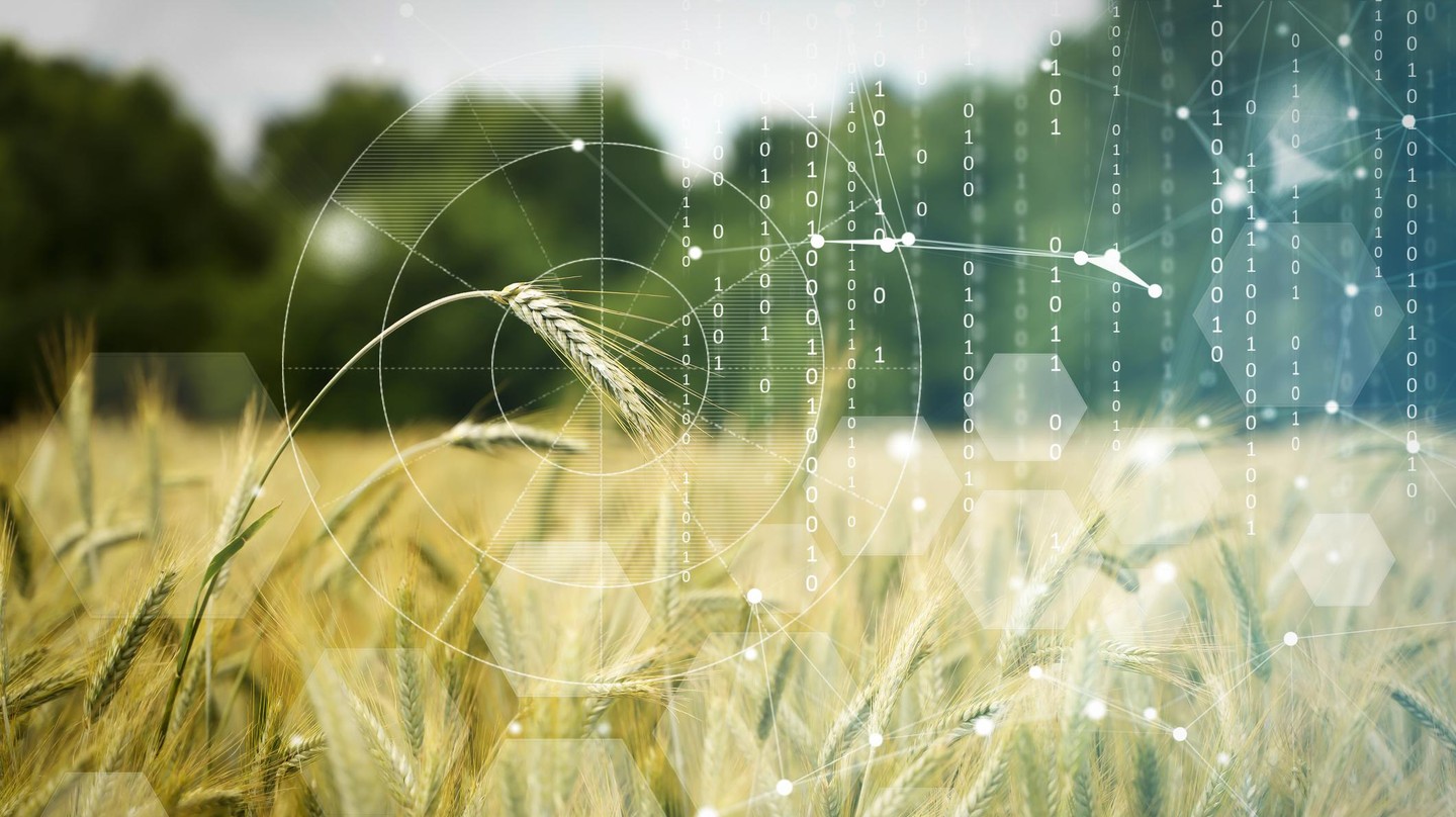 L’informatique quantique pourrait contribuer à résoudre les problèmes mondiaux, tels que la faim.© iStock