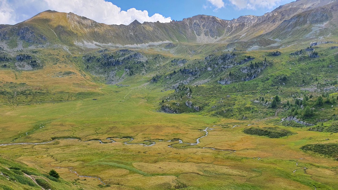 View on Ar du Tsan, one of the field sites of the study. © 2024 B. Dienes