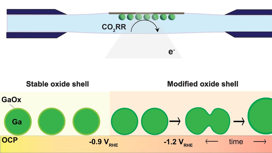 Copyright © 2025 The Authors. Published by American Chemical Society. This publication is licensed under CC-BY 4.0