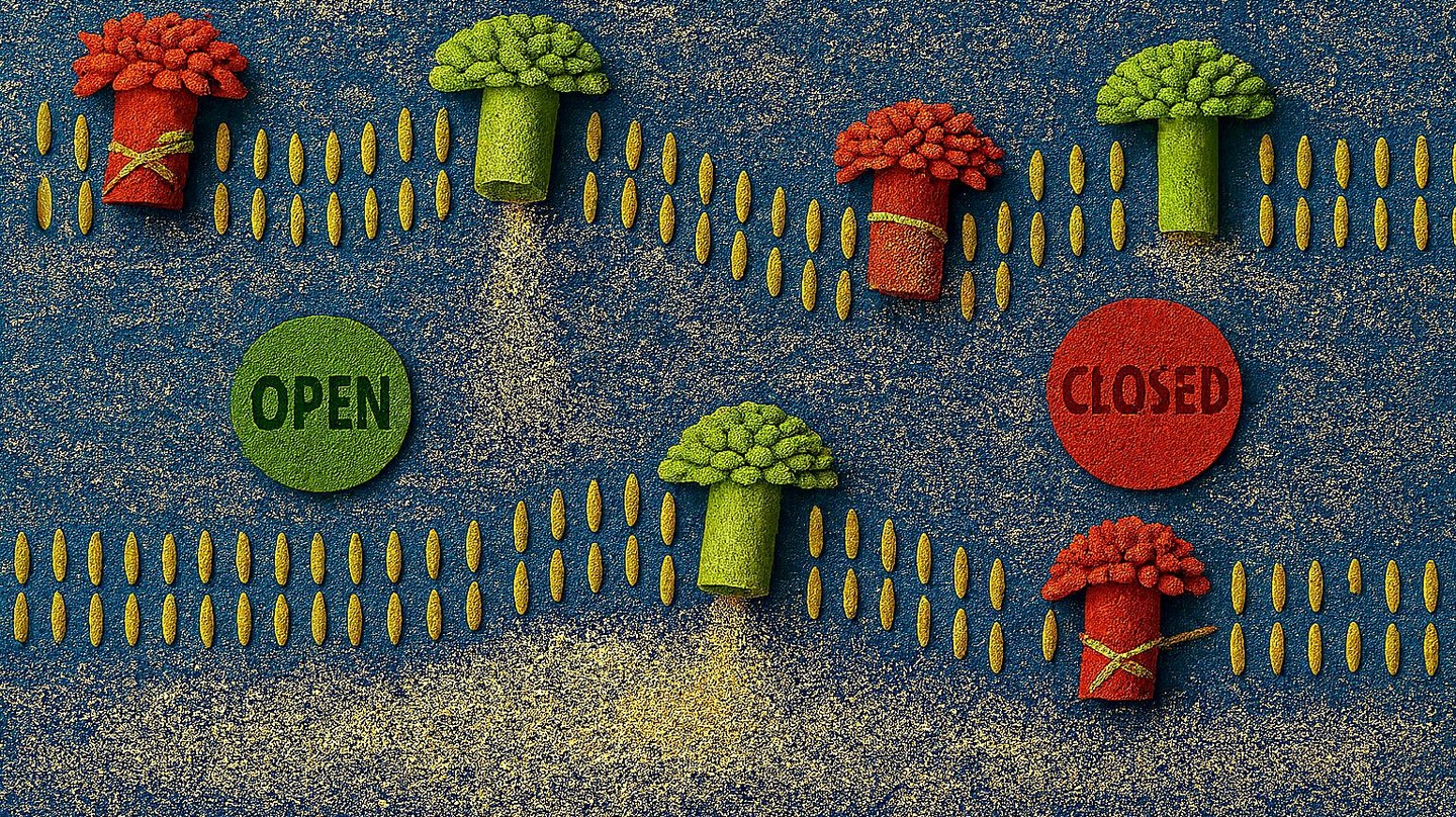 A represenation of a cell membrane (rice) with nanopores (broccoli) releasing ions (seeds).Credit: A. Radenovic (EPFL)