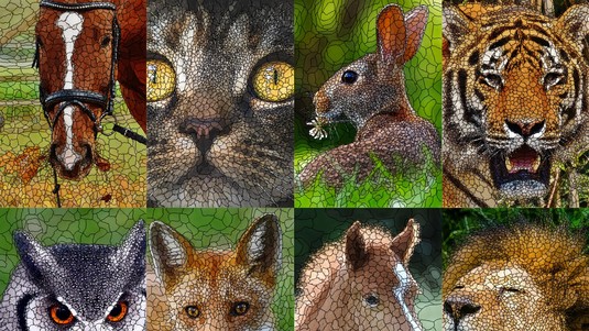 A novel superpixel technique, called Adaptels © 2025 EPFL/Radhakrishna Achanta