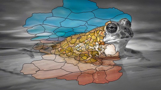 A novel superpixel technique, called Adaptels © 2025 EPFL/Radhakrishna Achanta