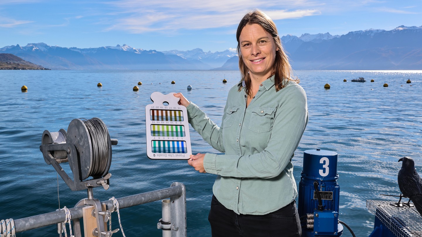 “A genuine community was created around this research project” – Net24