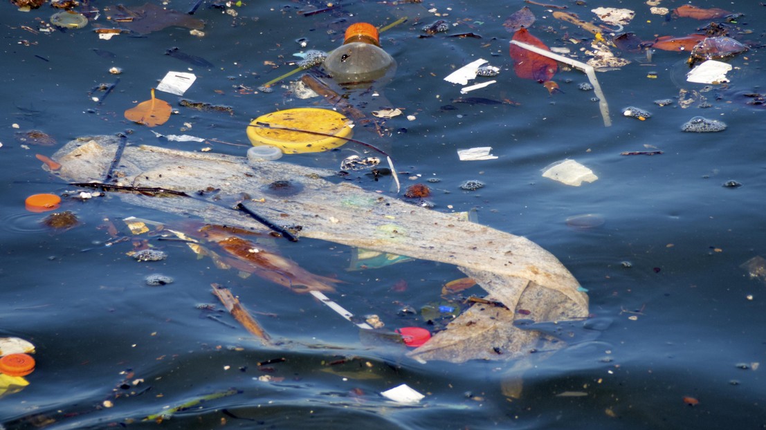 AIと衛星画像で海洋漂流ごみを追跡する技術 (AI helps marine scientists track floating debris from space)