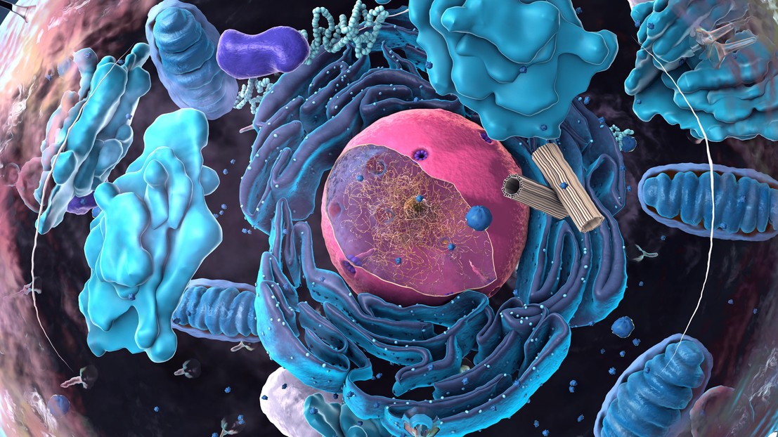 © EPFL/iStock (Christoph Burgstedt)