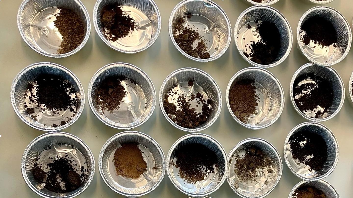 Soils from the Chile grassland gradient. © 2024 D. Wasner