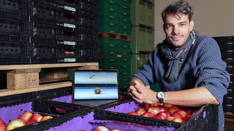 Bertil Trottet, an EPFL physicist who also runs a family tree farm in Féchy. 2026 EPFL / Alain Herzog - CC-BY-SA 4.0