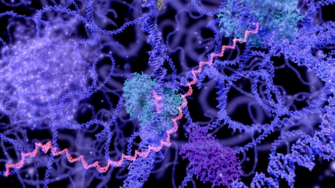 © EPFL 2026/iStock (selvanegra)