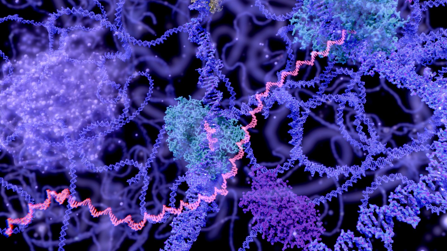 © EPFL 2026/iStock (selvanegra)