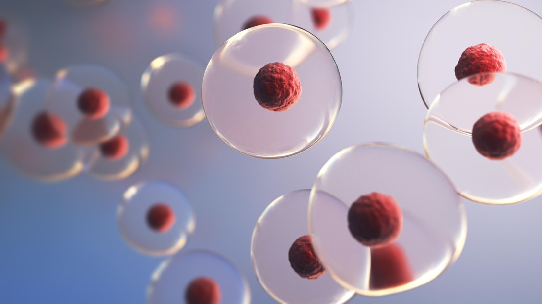 © EPFL 2026/iStock (spawns)