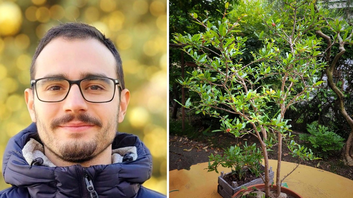 Gabriele Dall'Aglio and his miniature pomegranate tree. © 2026 EPFL/Gabriele Dall'Aglio