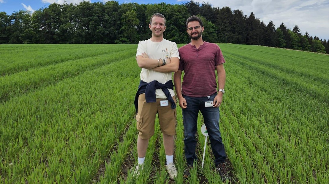 Michelangelo (left) and Dylan in the field. © 2026 Clara Guadalupe Herrera