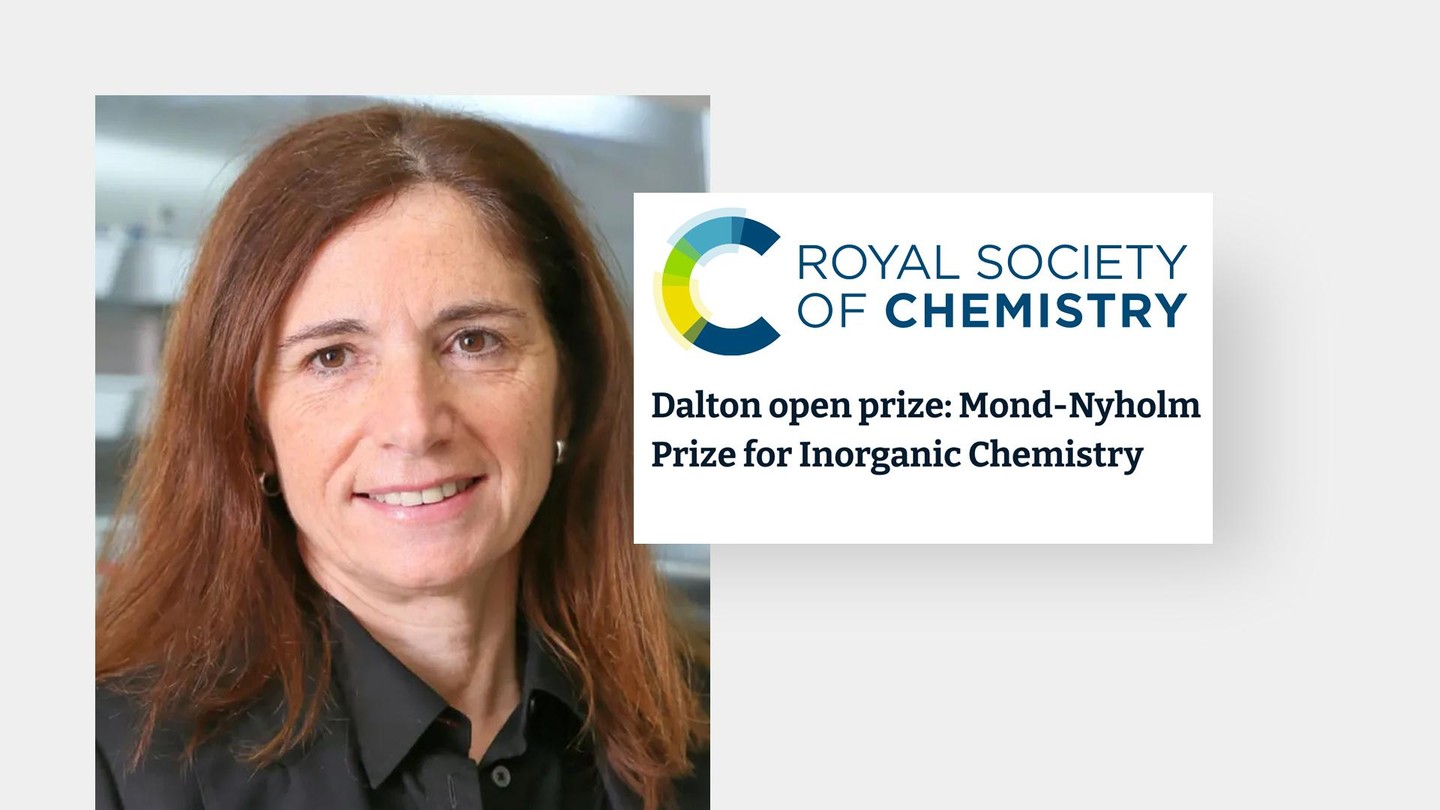 Marinella Mazzanti. Credit: Royal Society of Chemistry