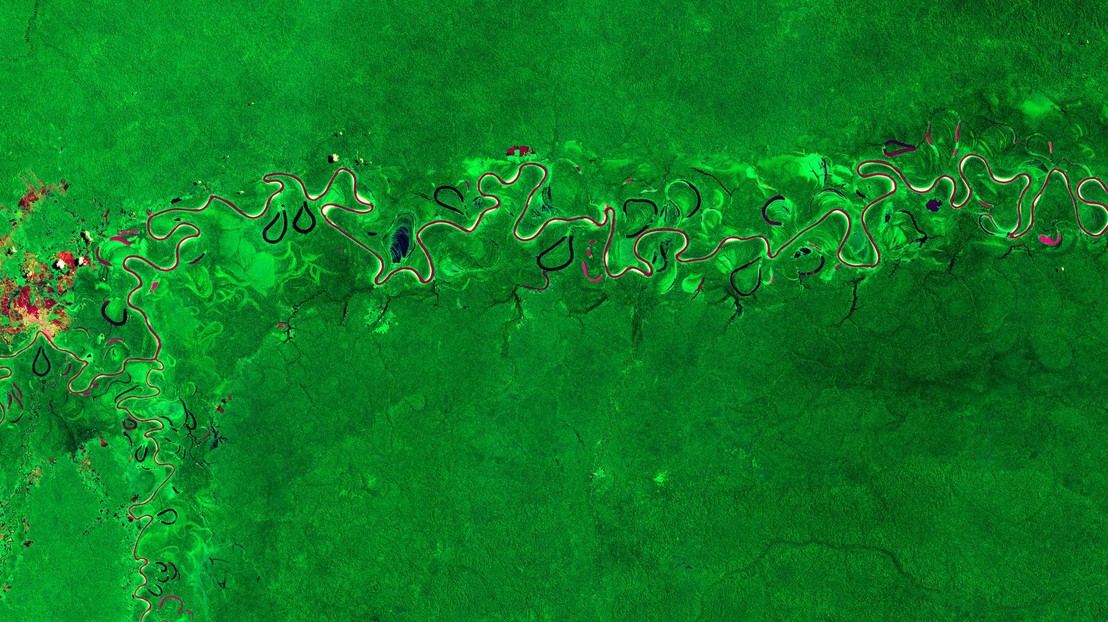 Image de la mission Copernicus Sentinel-2 montrant une partie de la forêt amazonienne dans l'Amazonas - - CC BY-SA 3.0 IGO / ESA Standard Licence