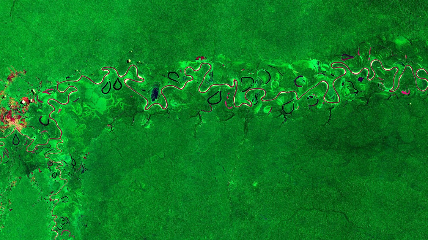 Image de la mission Copernicus Sentinel-2 montrant une partie de la forêt amazonienne dans l'Amazonas - - CC BY-SA 3.0 IGO / ESA Standard Licence