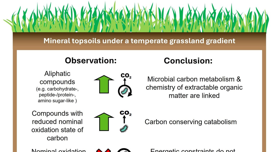 Microbial carbon metabolism is linked to organic matter chemistry across soil systems