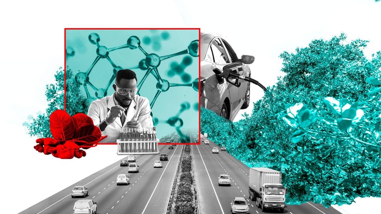 Biofuels collage by EXAF © 2026 EPFL