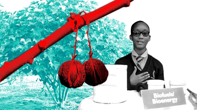 Jatropha seeds to biofuel collage by EXAF © 2026 EPFL