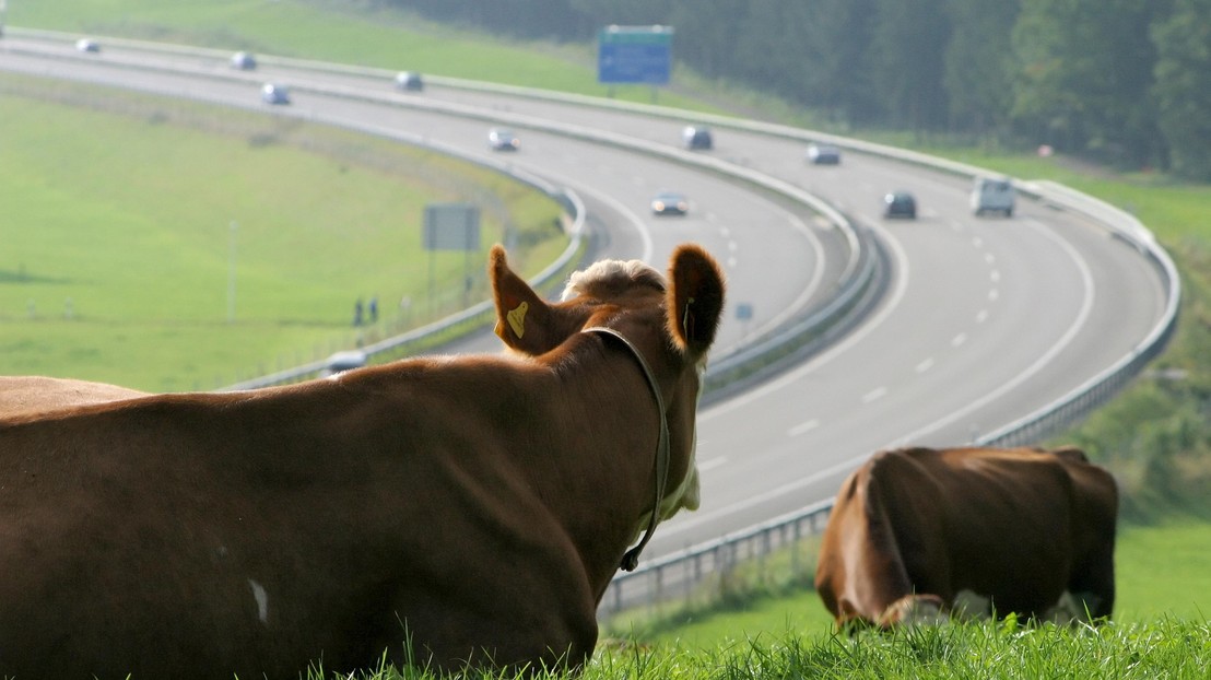 La proximité des axes routiers semble augmenter la concentration des résidus. @iStock